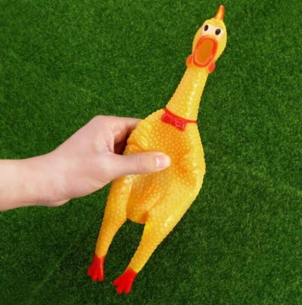 Cypsintis viščiukas