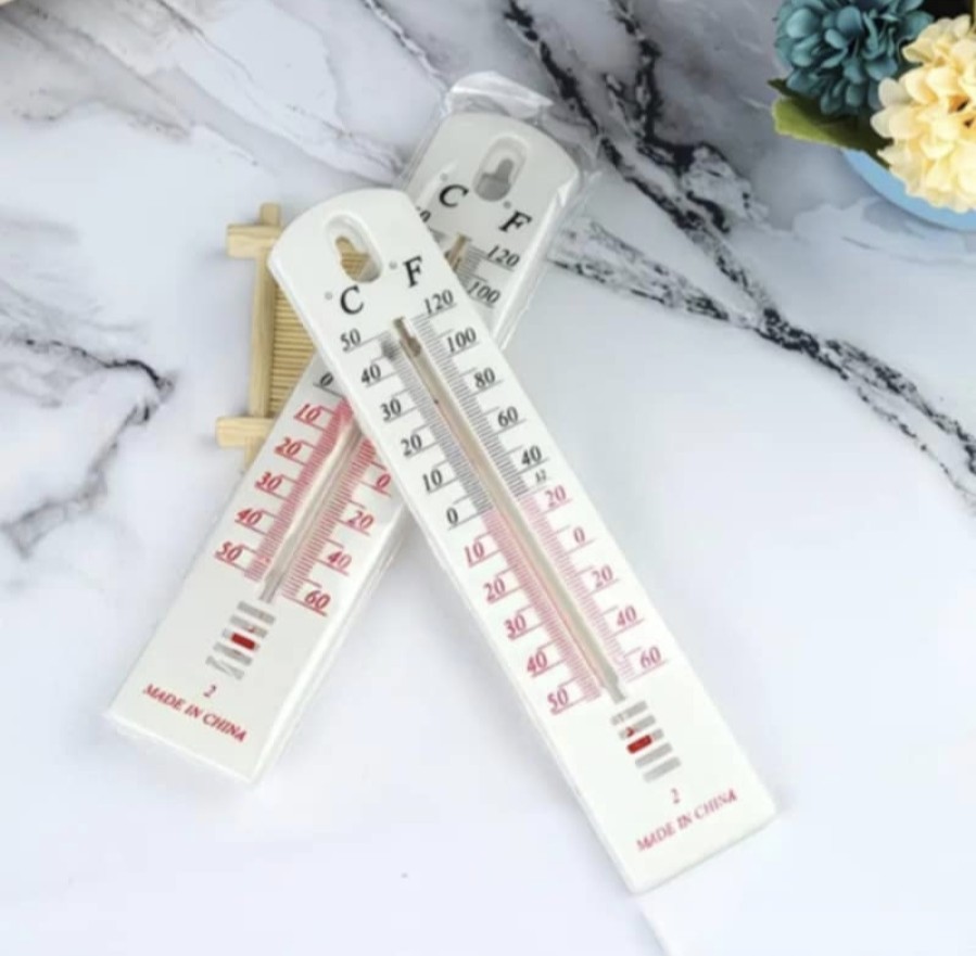 Lauko ir vidaus termometras